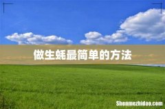 做生蚝最简单的方法