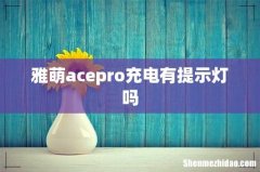 雅萌acepro充电有提示灯吗