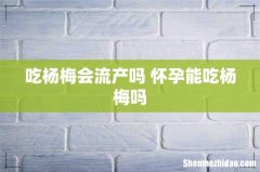 吃杨梅会流产吗 怀孕能吃杨梅吗