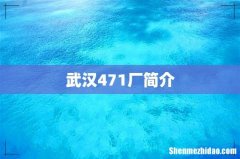 武汉471厂简介