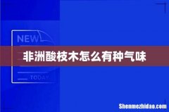 非洲酸枝木怎么有种气味