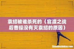 官渡之战后曹操没有灭袁绍的原因 袁绍被谁杀死的