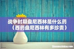 西药盘尼西林有多珍贵 战争时期盘尼西林是什么药