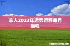 羊人2023年运势运程每月运程