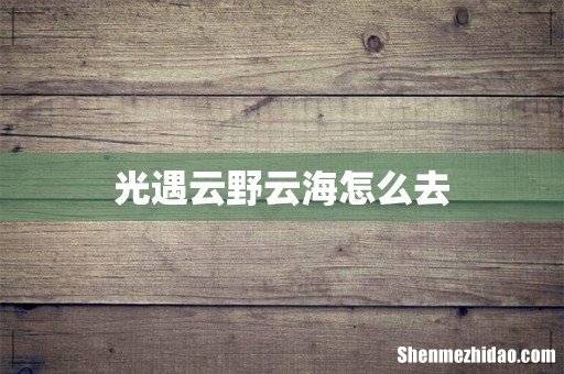 光遇云野云海怎么去