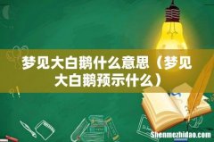 梦见大白鹅预示什么 梦见大白鹅什么意思