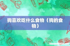 狗的食物 狗喜欢吃什么食物