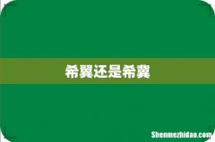 希翼还是希冀