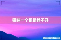 猫咪一个眼睛睁不开