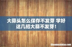 大蒜头怎么保存不发芽 学好这几招大蒜不发芽！