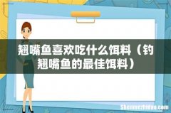 钓翘嘴鱼的最佳饵料 翘嘴鱼喜欢吃什么饵料