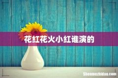 花红花火小红谁演的