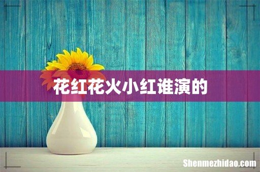 花红花火小红谁演的