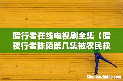 暗夜行者陈陌第几集被农民救下 暗行者在线电视剧全集