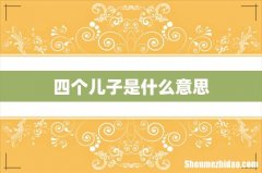 四个儿子是什么意思