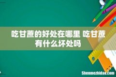 吃甘蔗的好处在哪里 吃甘蔗有什么坏处吗