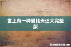 世上有一种爱比天还大完整版