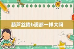 葫芦丝降b调都一样大吗