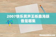 2007快乐男声王栎鑫海豚音是哪集