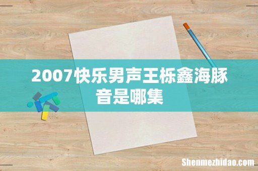 2007快乐男声王栎鑫海豚音是哪集