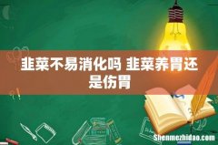 韭菜不易消化吗 韭菜养胃还是伤胃