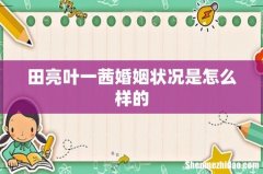田亮叶一茜婚姻状况是怎么样的