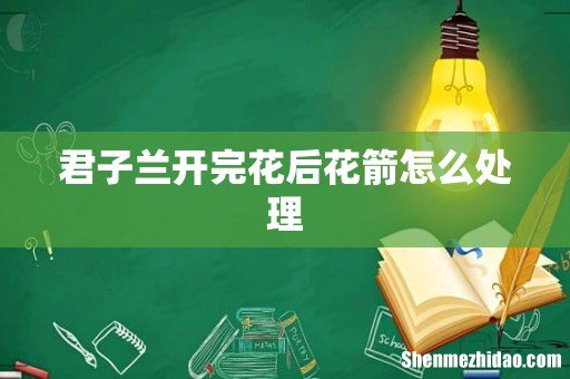 君子兰开完花后花箭怎么处理