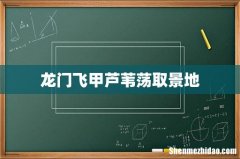 龙门飞甲芦苇荡取景地