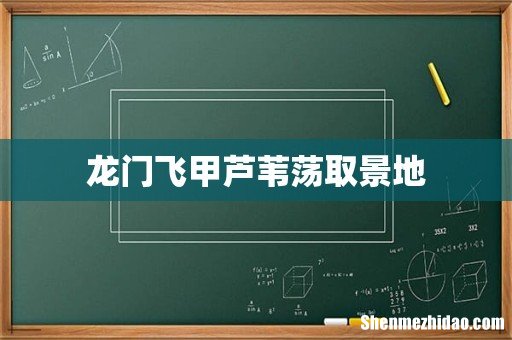 龙门飞甲芦苇荡取景地