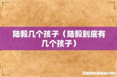 陆毅到底有几个孩子 陆毅几个孩子