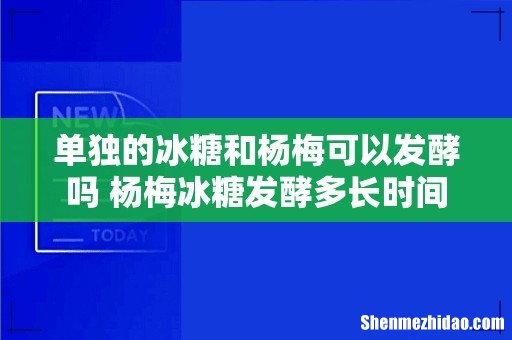单独的冰糖和杨梅可以发酵吗 杨梅冰糖发酵多长时间