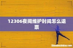 12306夜间维护时间怎么退票