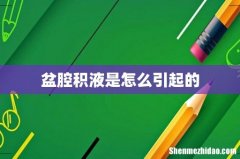 盆腔积液是怎么引起的