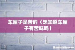想知道车厘子有苦味吗 车厘子是苦的
