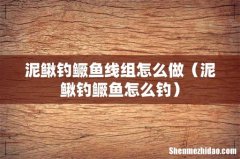 泥鳅钓鳜鱼怎么钓 泥鳅钓鳜鱼线组怎么做