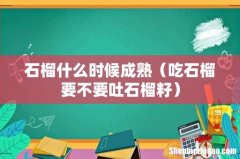 吃石榴要不要吐石榴籽 石榴什么时候成熟