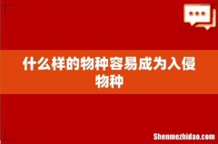 什么样的物种容易成为入侵物种