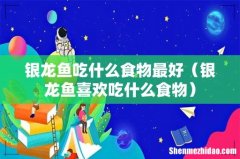 银龙鱼喜欢吃什么食物 银龙鱼吃什么食物最好