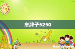 车牌子5250