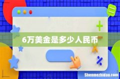 6万美金是多少人民币