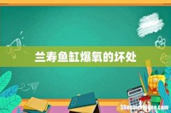 兰寿鱼缸爆氧的坏处