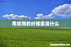 甩浆用的纤维素是什么