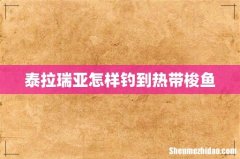 泰拉瑞亚怎样钓到热带梭鱼