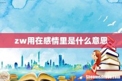 zw用在感情里是什么意思