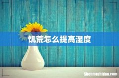 饥荒怎么提高湿度