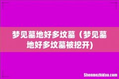 梦见墓地好多坟墓（梦见墓地好多坟墓被挖开)