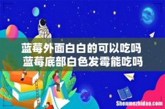 蓝莓外面白白的可以吃吗 蓝莓底部白色发霉能吃吗