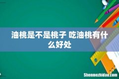 油桃是不是桃子 吃油桃有什么好处