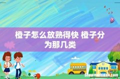 橙子怎么放熟得快 橙子分为那几类