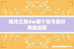 雅诗兰黛dw哪个色号最好用最遮瑕